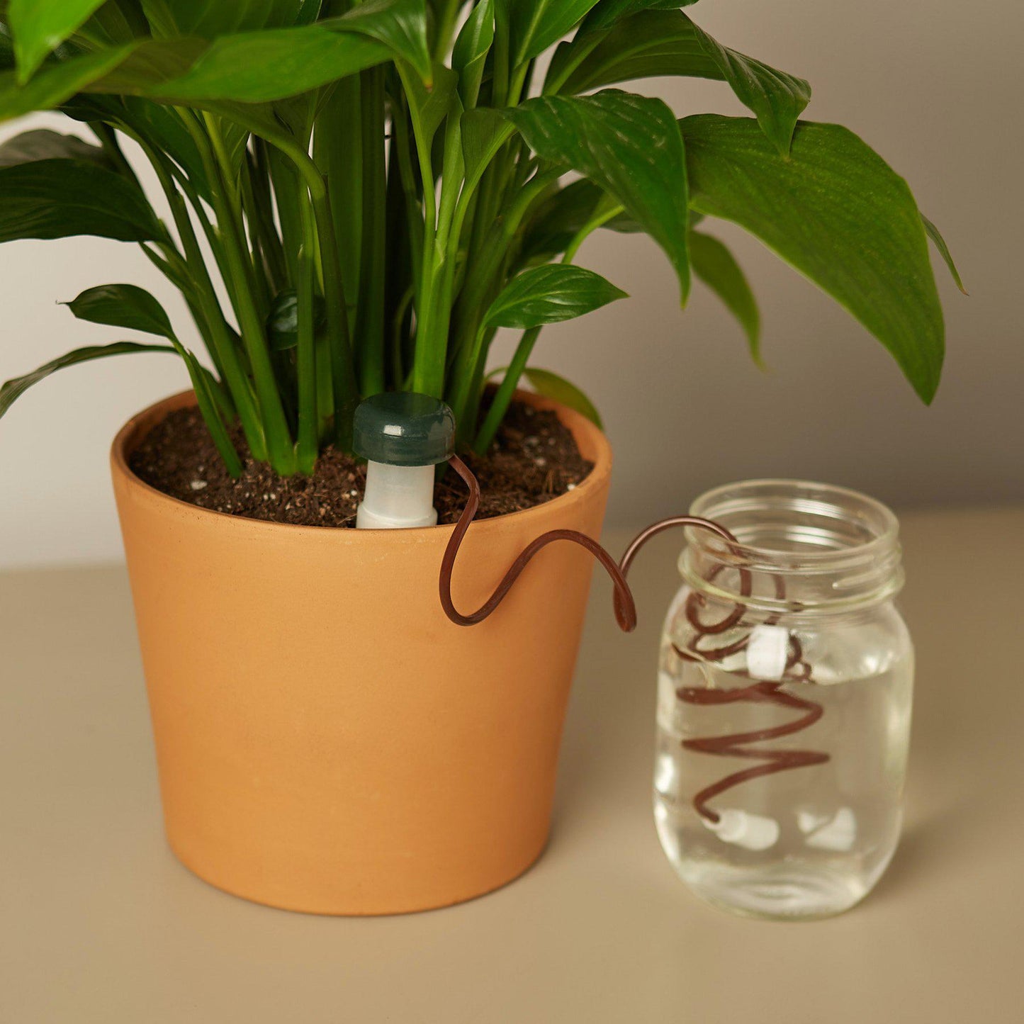 Automatic Plant Waterers - House Plant Shop