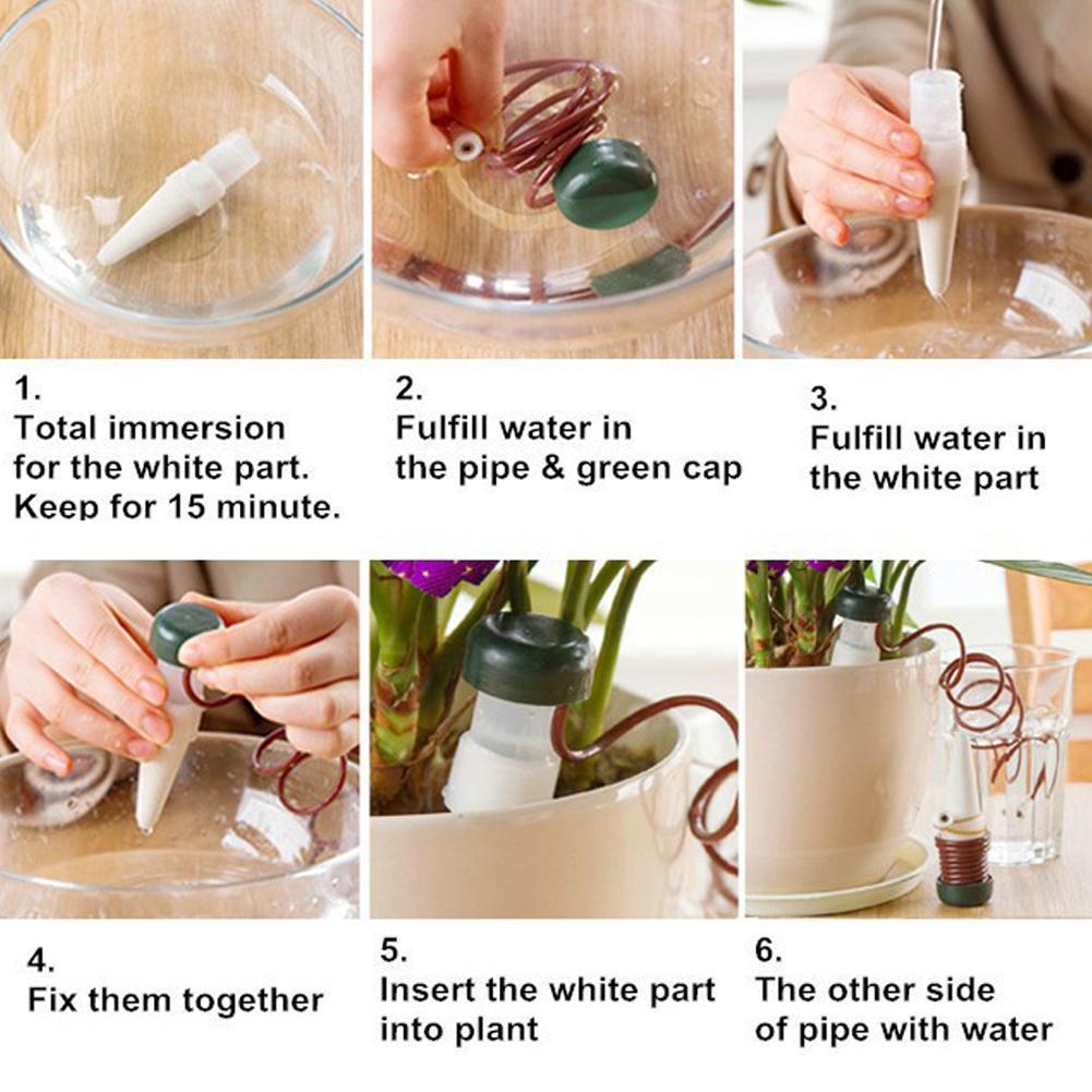 Automatic Plant Waterers - House Plant Shop