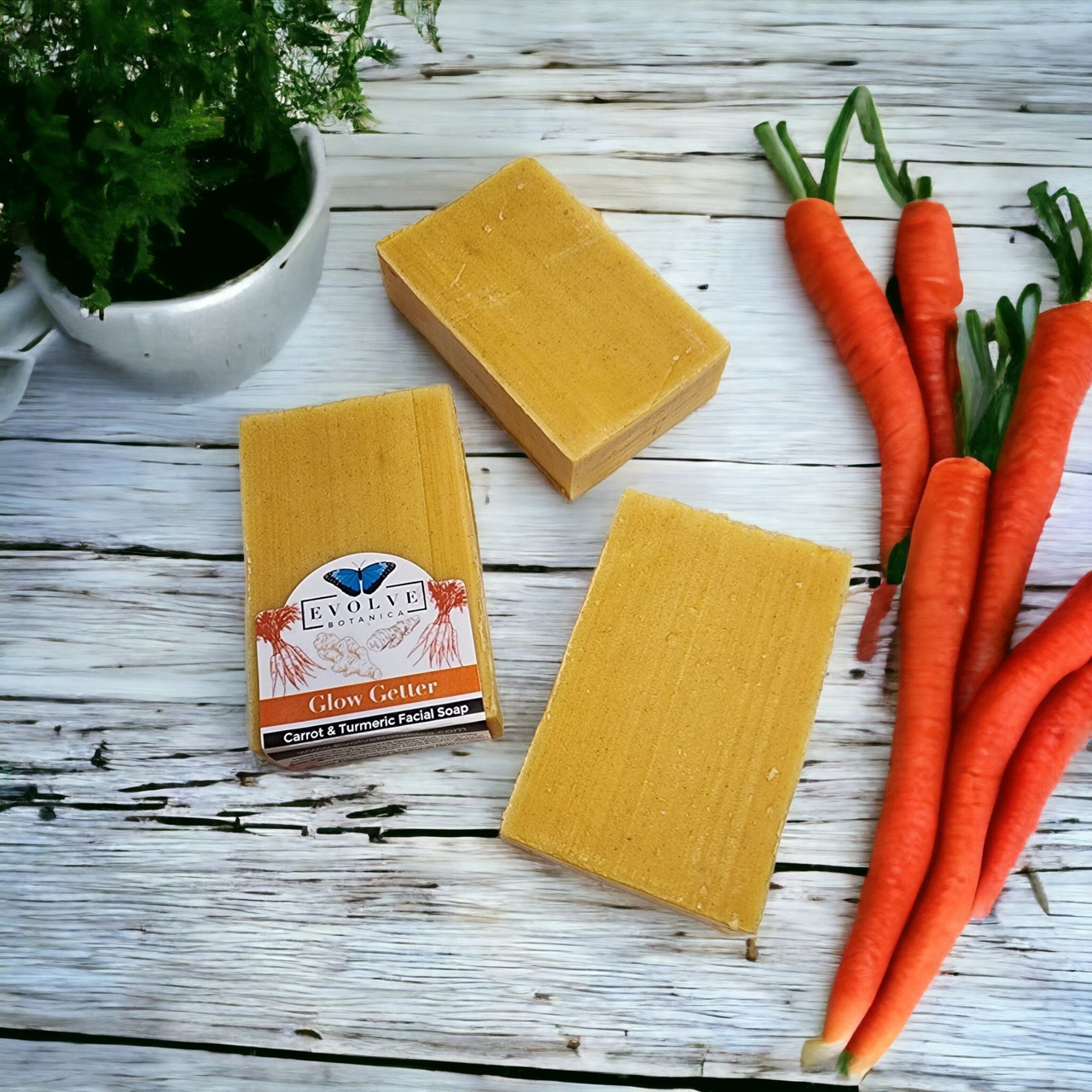 Standard Soap - Glow Getter (Carrot, Turmeric & Honey Facial Soap) by Evolve Botanica Co