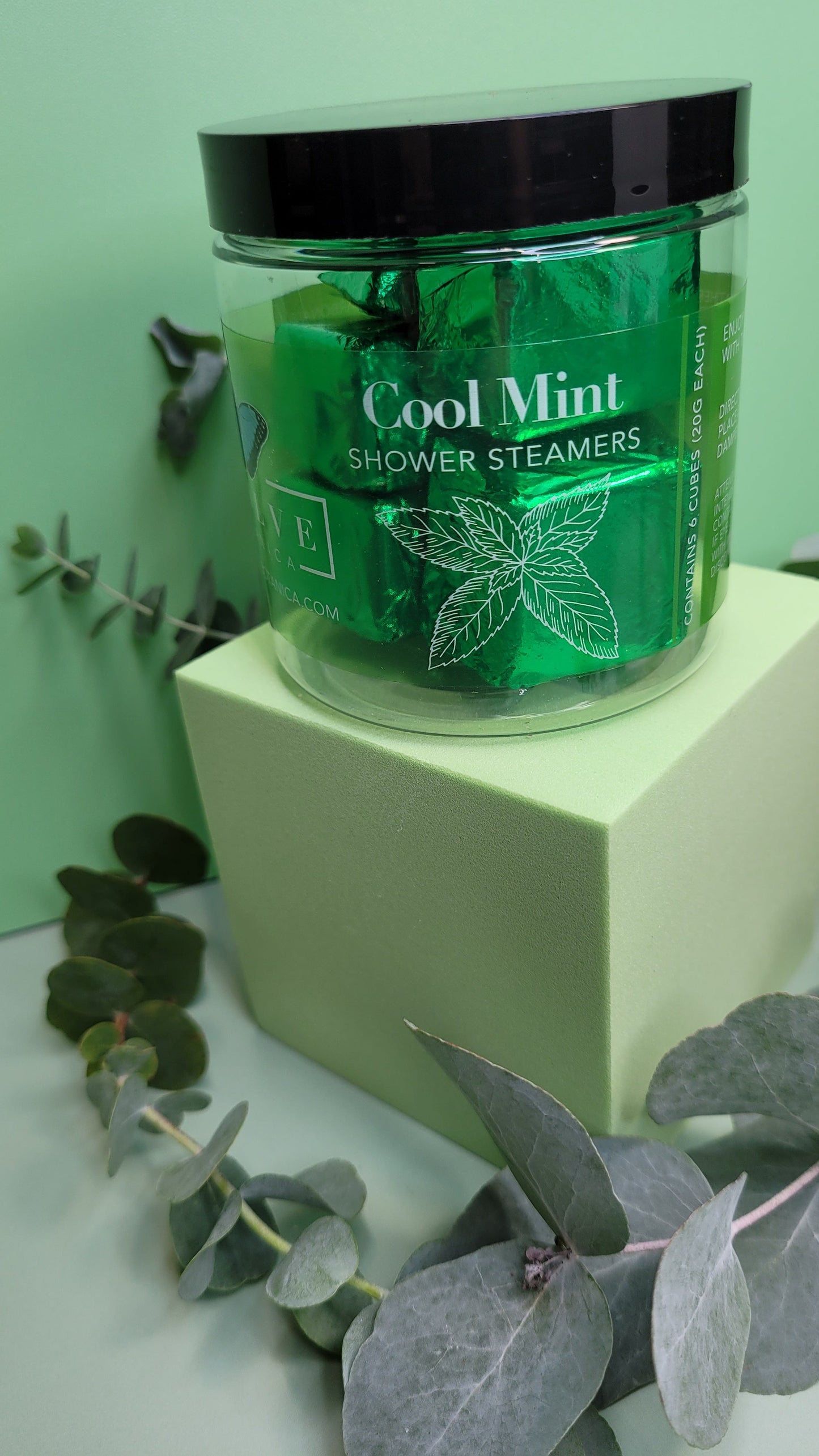 Shower Steamer Mini Assortment by Evolve Botanica Co