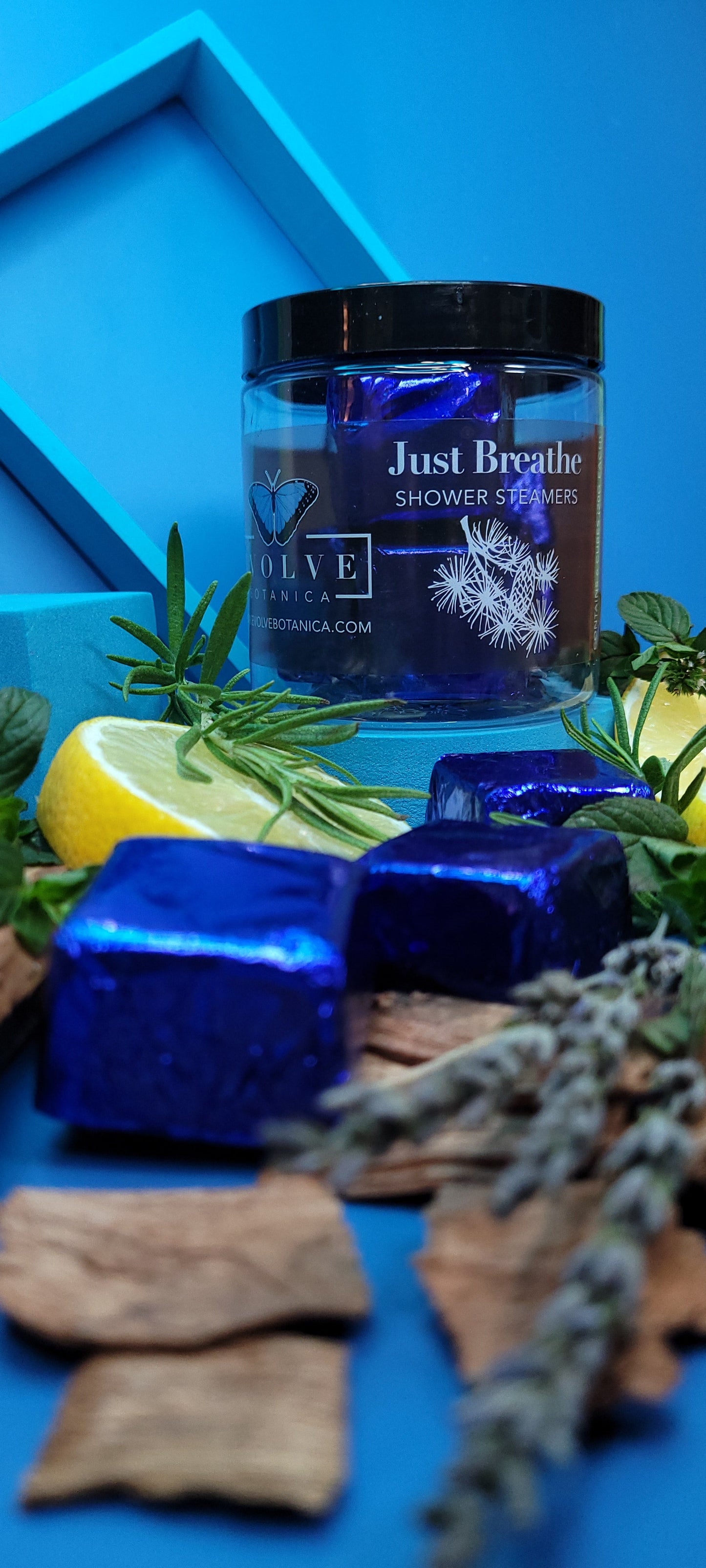 Shower Steamer Mini Assortment by Evolve Botanica Co